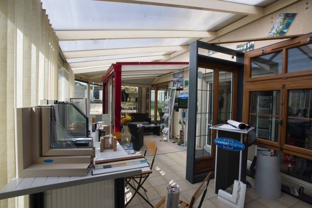 exposition