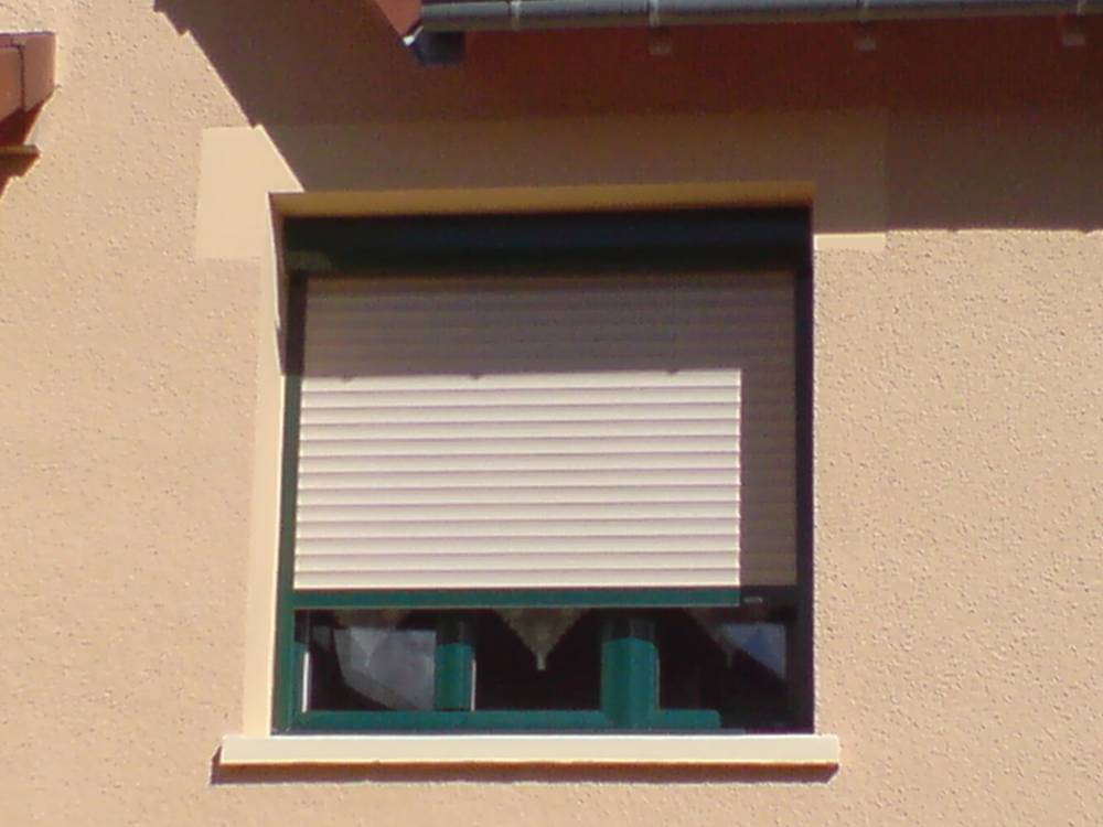 DSC00568